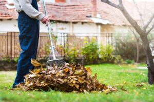 Fall yard cleanup in Kings Beach, California