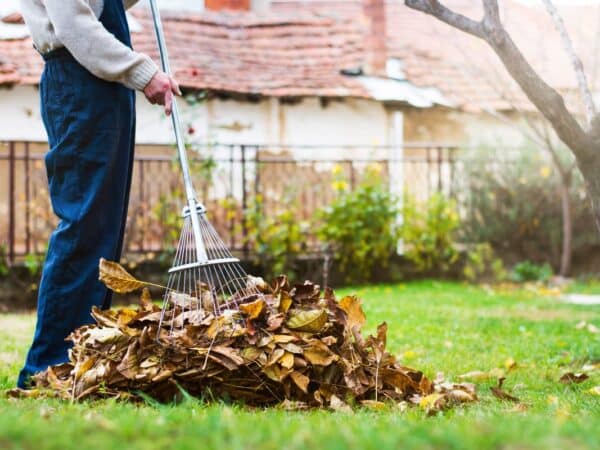 Fall yard cleanup in Kings Beach, California